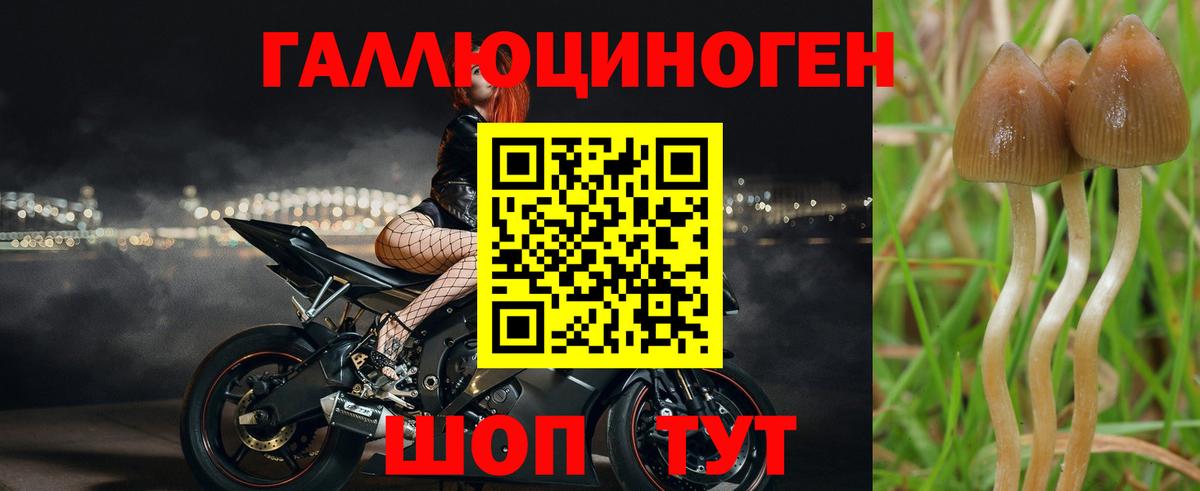 Псилоцибиновые грибы GOLDEN TEACHER Саров