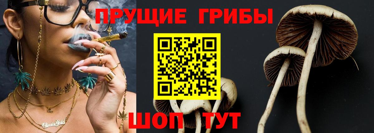 Саров  Галлюциногенные грибы Magic Shrooms  Вход с VPN 